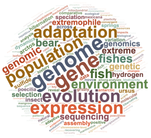 Research word cloud